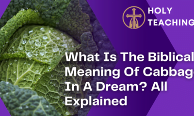 What Is The Biblical Meaning Of Cabbage In A Dream? All Explained